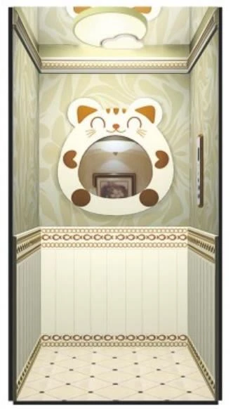 Ntxim hlub Villa Elevator Tsev Lift
