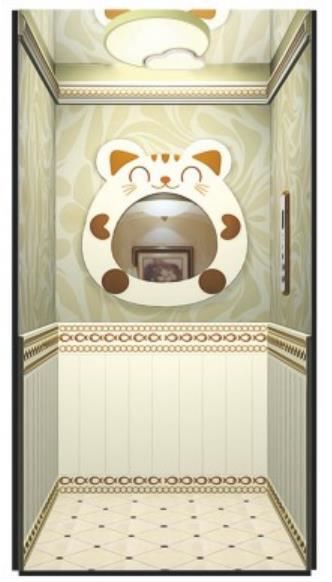 Ntxim hlub Villa Elevator Tsev Lift