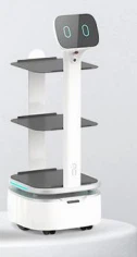 Zaub mov xa tuaj Robot
